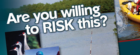 The Phosphate Risk