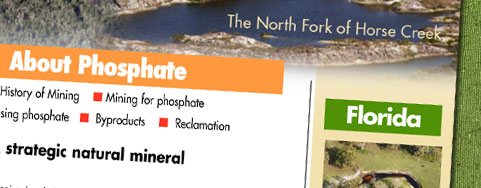 The Phosphate Risk