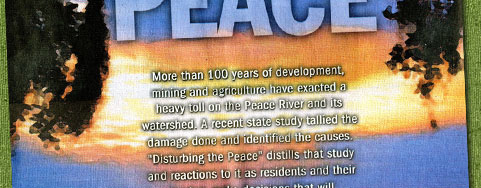 The Phosphate Risk